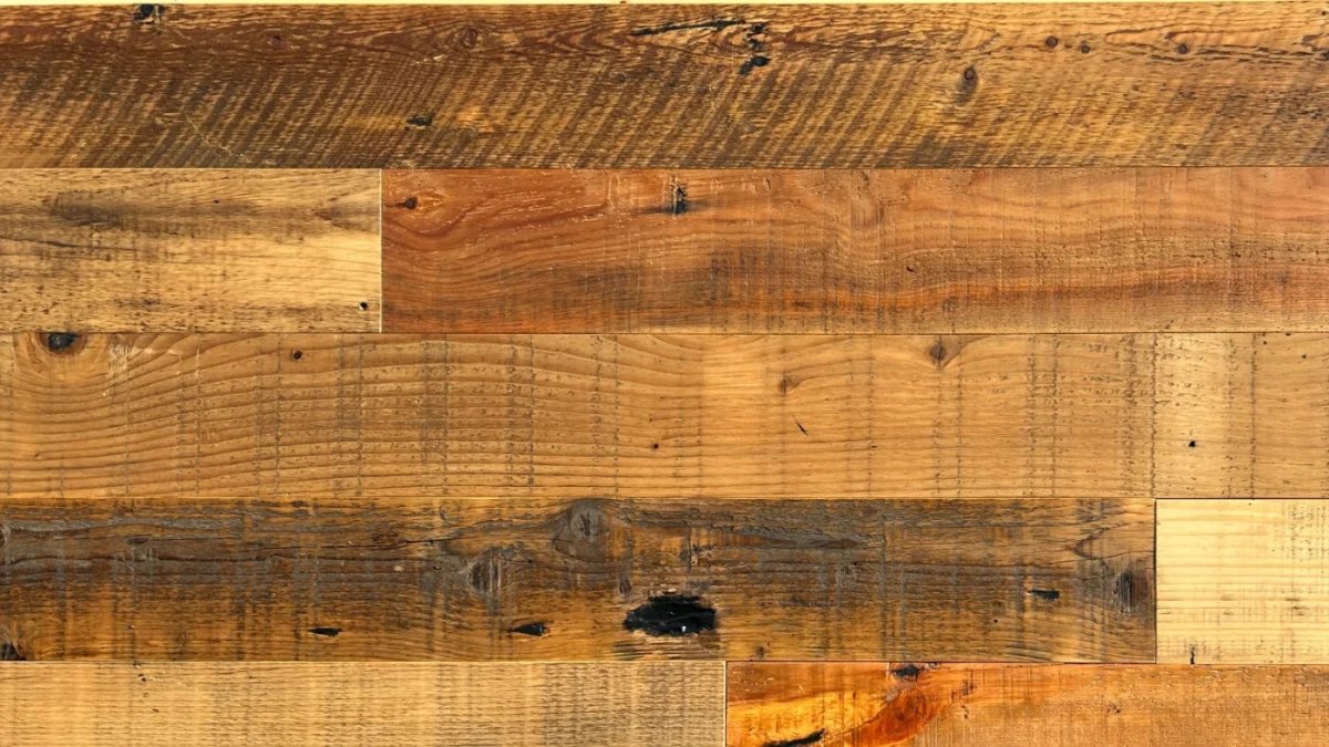 アイモンディパイン