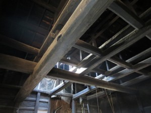 IMG_8020